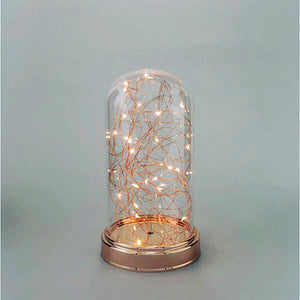 Lighted Dome Cloche - Knot and Nest Designs