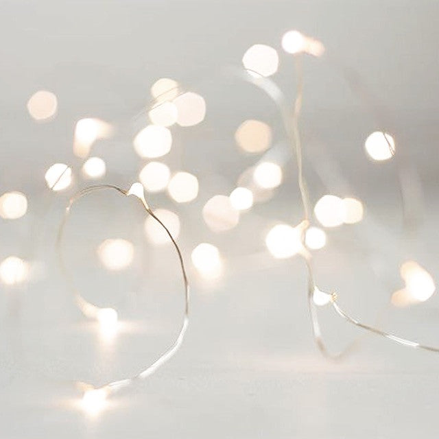 Holiday Fairy lights - Knot and Nest Designs
